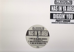 【廃盤12inch】DJ Excel / Nas IN Ya Area