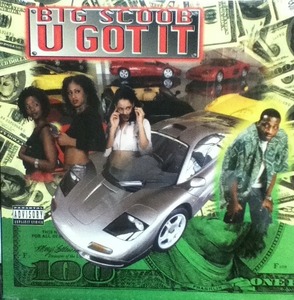 【廃盤新品12inch】BIG SCOOB / U GOT IT