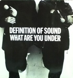 【廃盤12inch】Definition Of Sound / What Are You Under