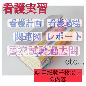 看護実習 看護過程 看護計画 関連図 アセスメント 事前学習