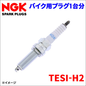 TESI-H2 ビモータ NGK製 プラグ SILMAR9E9 [95123] 4本 1台分 NGK 2輪車用プラグ バイク用プラグ 92070-0720 送料無料