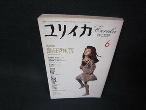 ユリイカ詩と批評1994年6月号　島田雅彦　シミ有/BAZD