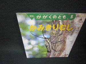 月刊かがくのとも　かみきりむし　シミ有/BEB