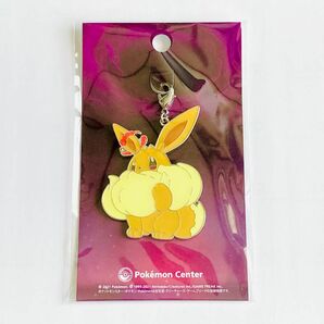 メタルチャーム キョダイマックス イーブイ ポケモンセンター ポケモン ポケットモンスター キーホルダー チャーム