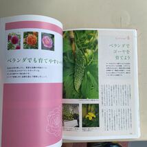 「ベランダで花づくり : 鉢植えやコンテナで楽しむ」_画像8