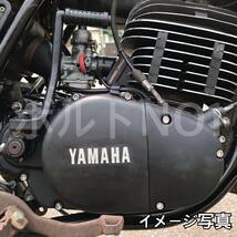 ステンレス製 VFR750F RC36 左右エンジンカバーボルト 合計29本 _画像4