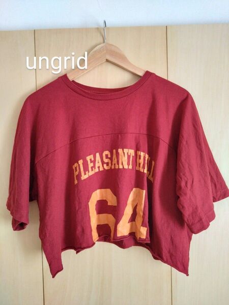 ungrid ショート丈Tシャツ アングリッド