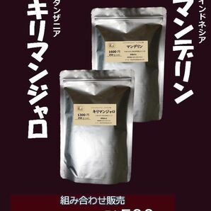 G14 キリマンジャロ+マンデリン250g+250g 丁寧に直火で焼く 深い香りのままアルミバッグに入れて送付 お買得 3100円