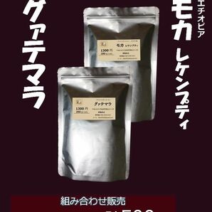 G35 グァテマラ+モカ レケンプティ 250g+250g＝計500g【直火で丁寧に焼く】深い香りのまま かねふと珈琲