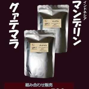 G34 グァテマラ+マンデリン 250g+250g＝計500g【直火で丁寧に焼く】深い香りのままアルミバッグに詰める