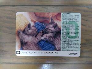  использованный io-card JR Восточная Япония кошка 