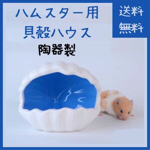 【レア商品】ハムスター ハウス 陶器製 貝殻型