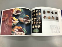 ★　【図録 特別展 華麗なる伊万里、雅の京焼 2005年】164-02308_画像4