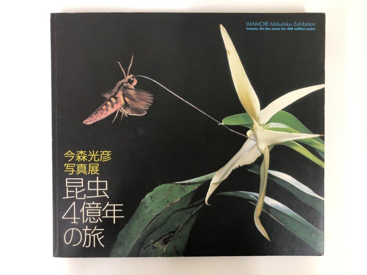 ★[Illustrated catalog Mitsuhiko Imamori Photo Exhibition Insects 400 million year journey Welcome to the forest of evolution Tokyo Photographic Art Museum 2008] 116-02308, painting, Art book, Collection of works, Illustrated catalog