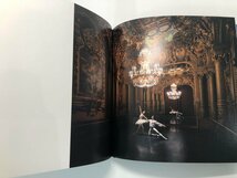 ★　【図録 In Situ Pierre-Elie de Pibrac Exhibition ピエール＝エリィ・ド・ピブラック　シャネル・ネクサス・ホール】107-02308_画像6