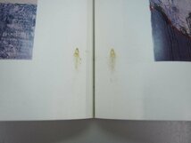 ★　【図録 古川通泰 ベルリン展 ベルリン日独センター　1995年】140-02308_画像4