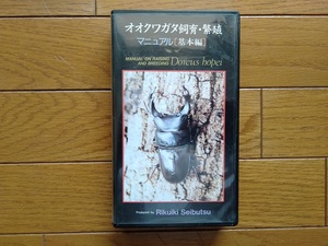  oo stag beetle breeding * breeding manual basis compilation VHS videotape rhinoceros beetle 