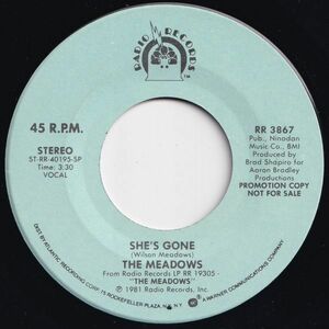 Meadows She's Gone / She's Gone Radio US RR 3867 203426 SOUL ソウル レコード 7インチ 45