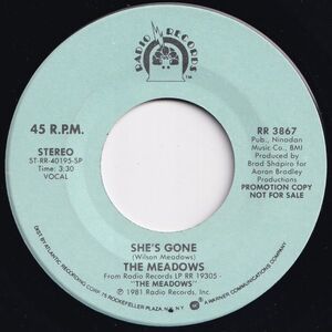 Meadows She's Gone / She's Gone Radio US RR 3867 203426 SOUL ソウル レコード 7インチ 45