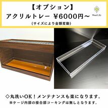 大工の爬虫類ケージ「塗装タイプ」90×45×45cm◇送料無料◇サイズ価格表◇床板＆塗装カラー選択無料 #爬虫類ケージ_画像10