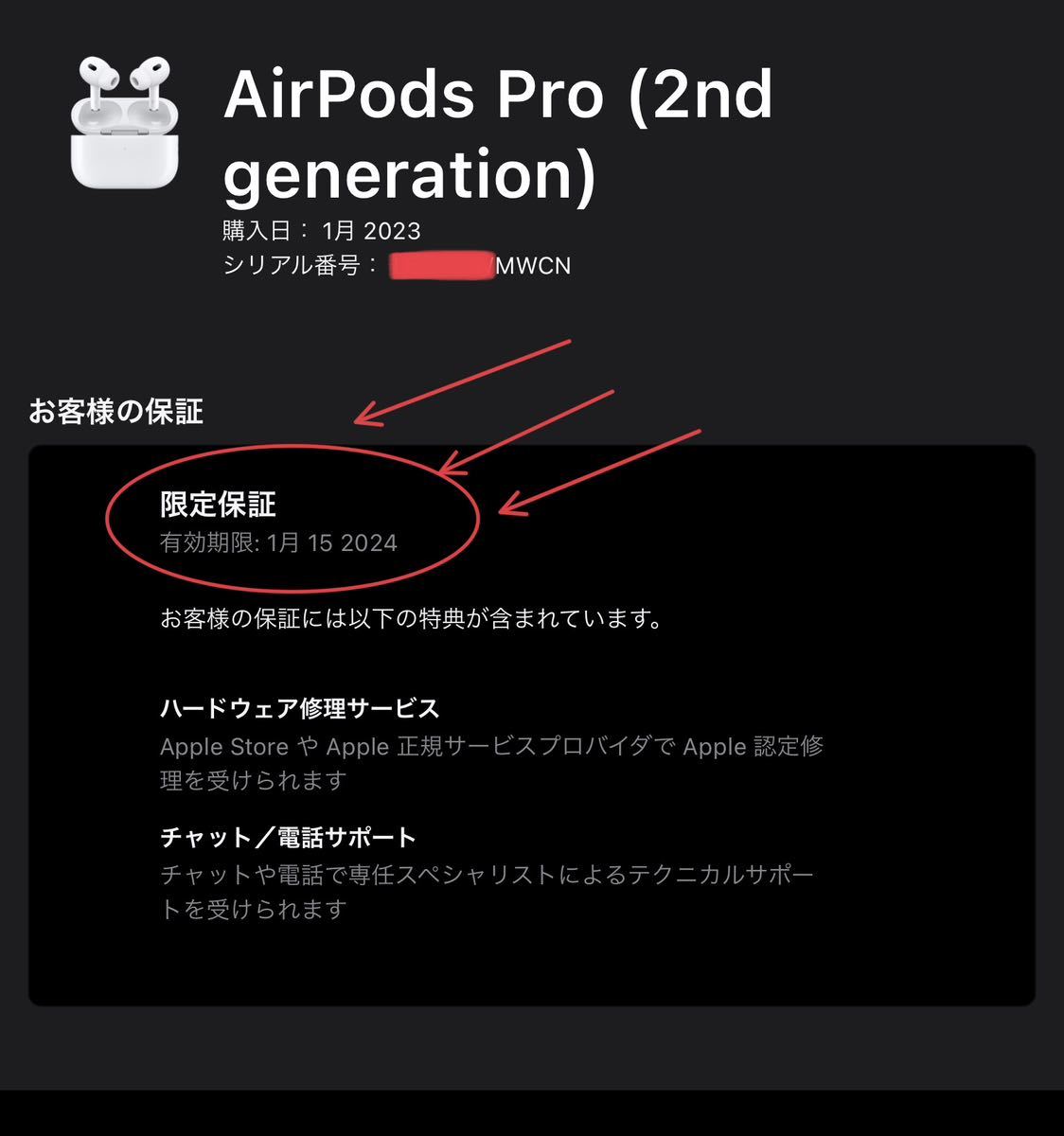 動作品◇純正◇Apple AirPods Pro 第2世代エアポッズ| JChere雅虎拍卖代购