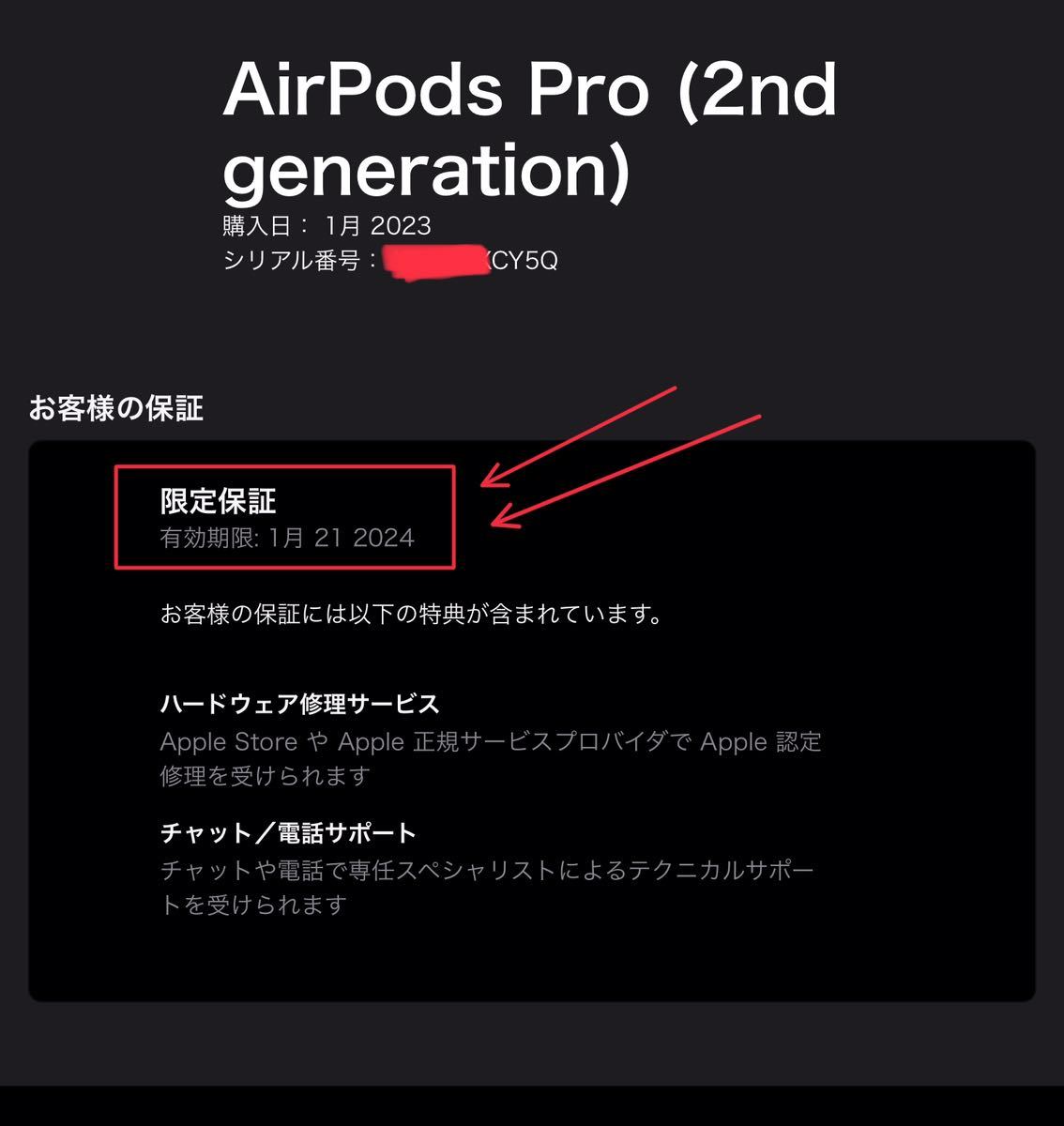 動作品◇純正◇Apple AirPods Pro 第2世代エアポッズプロ第二世代充電