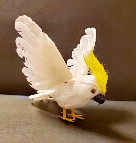 鳥の置物　白いオウム　羽ばたくキバタン　鳥の雑貨　HANAKO