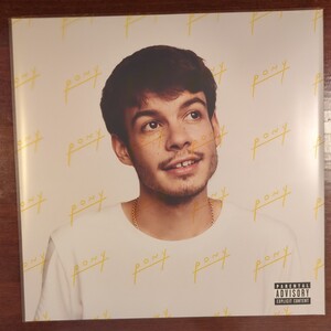 rex orange county pony ポニー analog record レコード LP アナログ vinyl