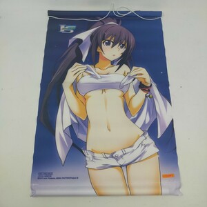 * unused * Infinite Stratos 2011.no.... under .... burnt scree . six -ply .... .. tapestry collection anime goods S