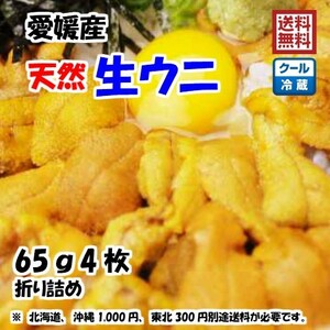 生ウニ 板ウニ 60g4枚 愛媛 天然 紫ウニ 赤ウニ 素潜り海士 送料無料 北海道/沖縄/東北は別途送料 浜から直送 宇和海の幸問屋 愛媛百貨店