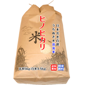 ヒノヒカリ 玄米5kg/白米4.5kg 2023年産 うちぬきで育てた清流米 百姓直送 送料無料 北海道/沖縄/東北は別途送料 宇和海の幸問屋