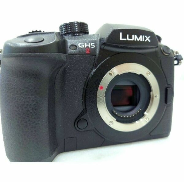 LUMIX DC-GH5M2 〈極上美品〉※元箱付き ショット数479回 パナソニック Panasonic ルミックス ボディ