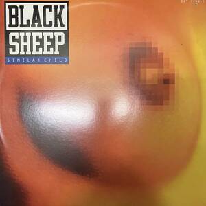 赤箱 HIPHOP,R&B BLACK SHEEP - SIMILAK CHILD シングル レコード 中古品