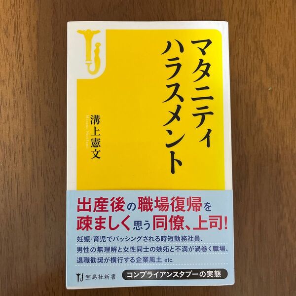 マタニティハラスメント (宝島社新書 418) 溝上憲文/著