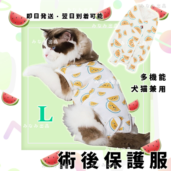 【スイカ柄L】猫犬 術後服 離乳避妊手術 皮膚　保護　雌 エリザベスカラー ウェア