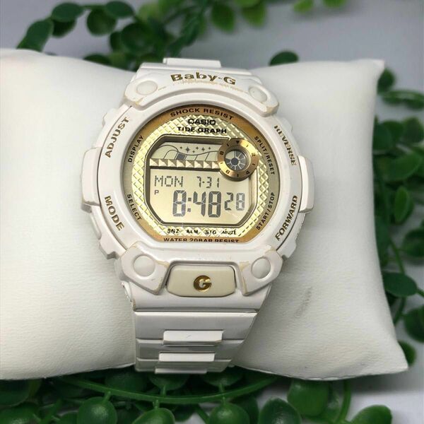 CASIO カシオ BLK-100 Baby-G