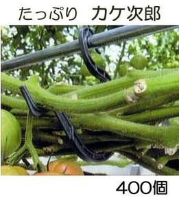 (1ケース400個入) カケ次郎 KJR-50 (50個入×8袋) シーム トマト 誘引資材