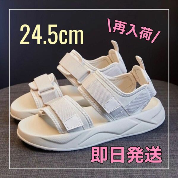 スポーツサンダル 24.5cm ホワイト 厚底 サンダル 韓国 スポサン