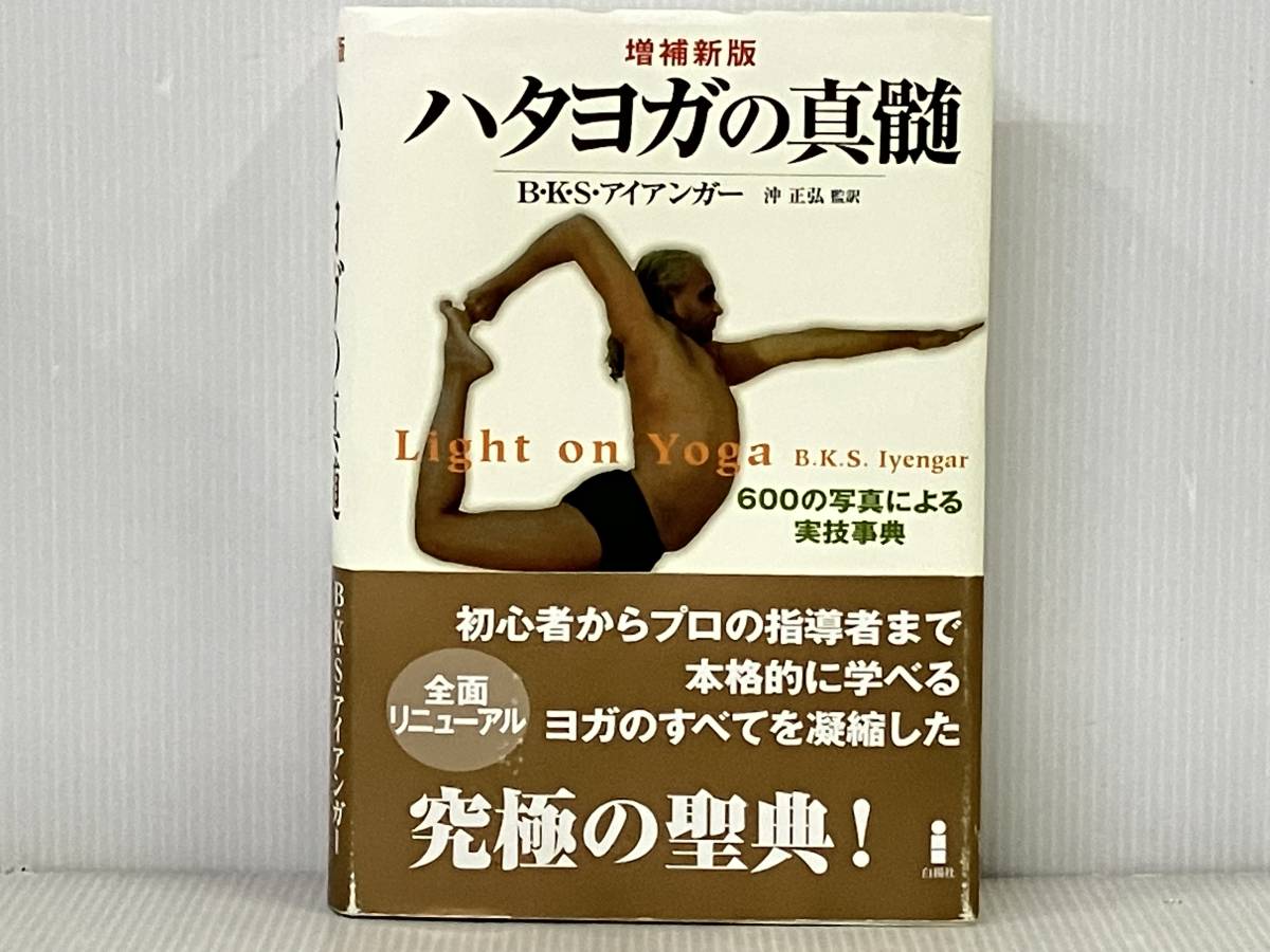 ヤフオク! -「アイアンガー」の落札相場・落札価格