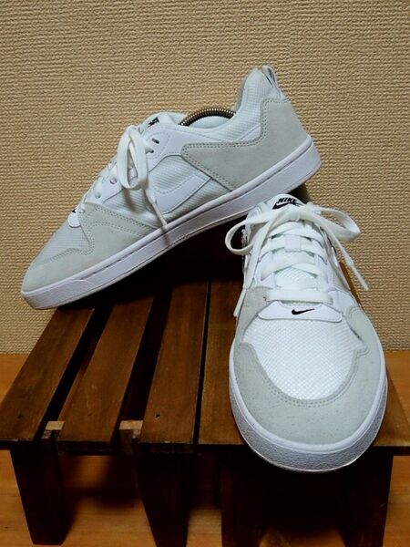 【極美品】NIKE SB ALLEYOOP / ナイキ SB アリーウープ / 27,5cm /