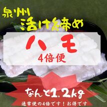 骨切りハモ・超お得です！通常便の4倍便！産地直送！本場、泉州から出品です！送料1000円!　特注品です！自宅で産直の味をどうぞ！_画像1