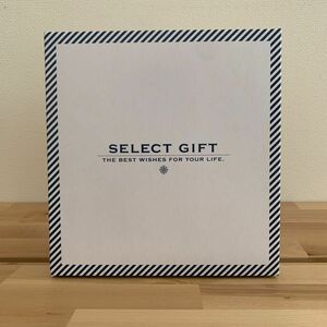 SELECT GIFT 入浴剤　バスソルト