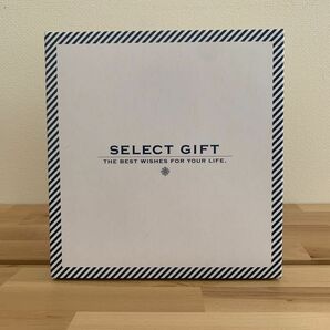 SELECT GIFT 入浴剤　バスソルト