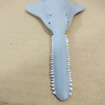 ノコギリエイ sawfish PVCフィギュア Safari サファリ社 全長約26㎝ 中国製 未チェック 詳細不明 ジャンク扱い_画像8