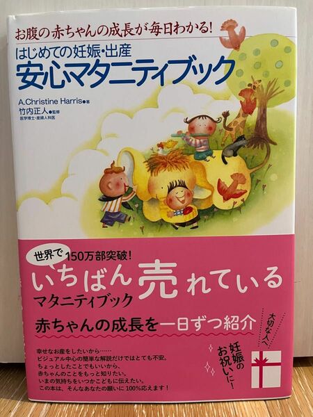 初めての妊娠・出産安心マタニティブック