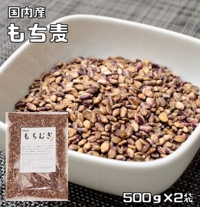 もち麦 1kg 豆力 国産 もちむぎ 大麦 裸麦 国内産 雑穀 国内加工 穀物 雑穀米 雑穀ごはん