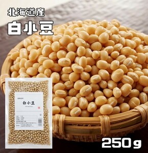  white small legume 250g legume power Hokkaido production white adzuki bean rare legume .. small legume domestic production domestic production dry bean beans Japanese style food ingredients raw legume limited goods 