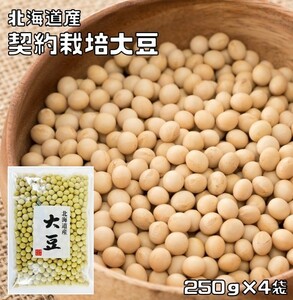 大豆 1kg 豆力 契約栽培 北海道産 だいず 国産 乾燥豆 国内産 豆類 乾燥大豆 和風食材 生豆