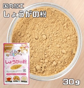 しょうがの粉 30g こなやの底力 生姜 粉末タイプ ジンジャーパウダー 生姜粉 和菓子材料 製菓材料 国内加工 玉三 生姜パウダー