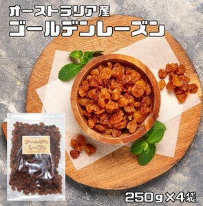 アサヒ食品工業 ゴールデンレーズン 1kg オーストラリア産 22430 1袋